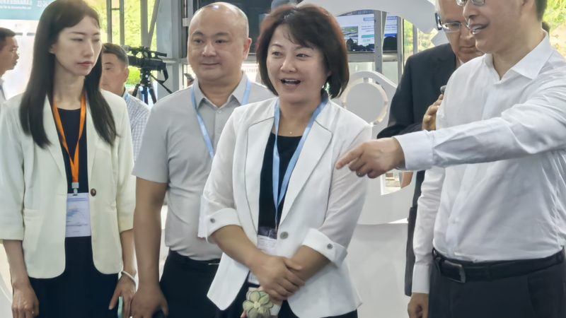 汽配城批发价格为何低于零售？揭秘其中的奥秘